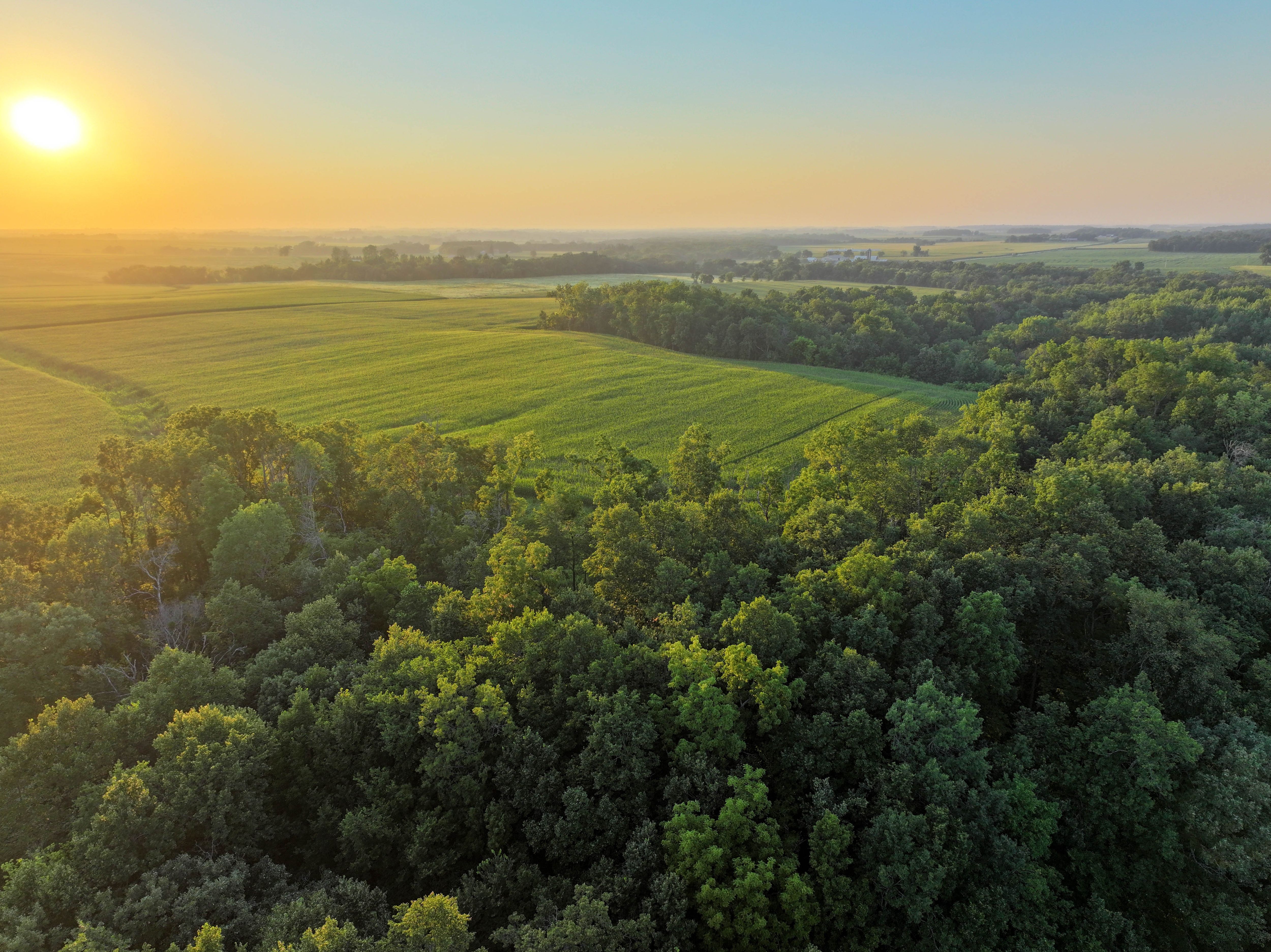 Listing Photo: 8_Fayette County Iowa Farmland
